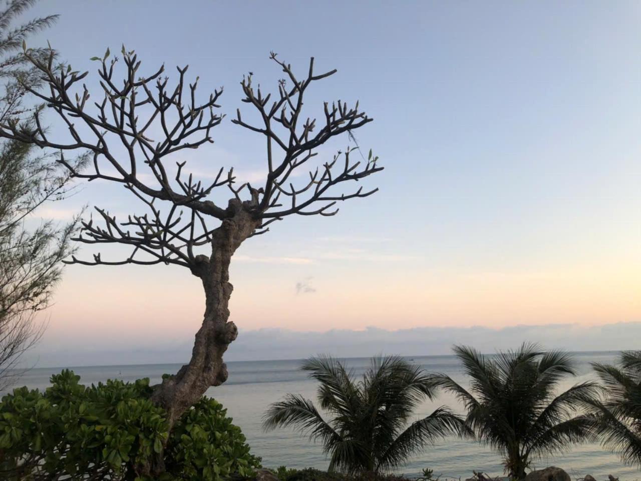 Orson Hotel & Resort Con Dao Chi Khu Co Ong Eksteriør bilde